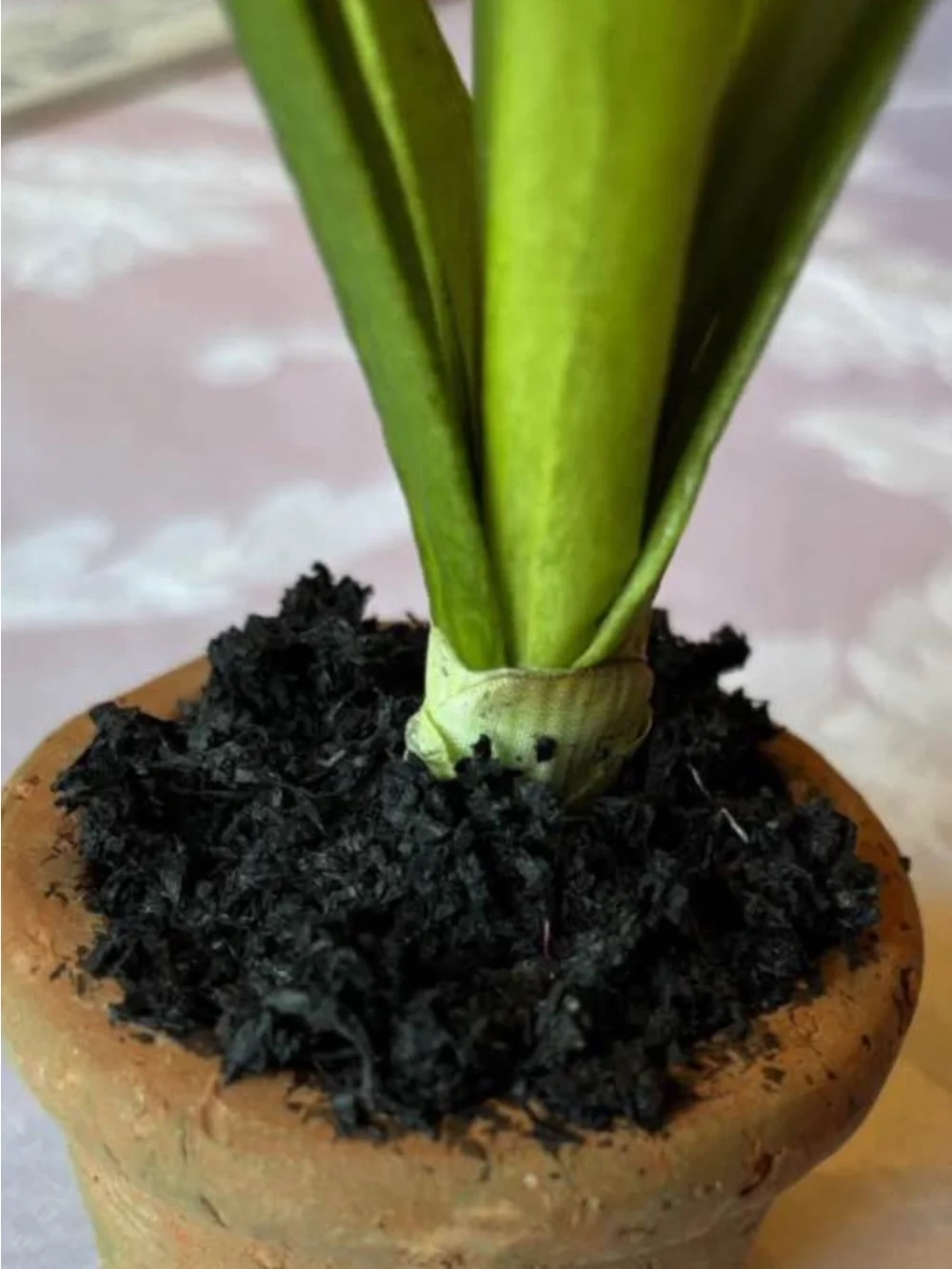 Faux Plant by NGD